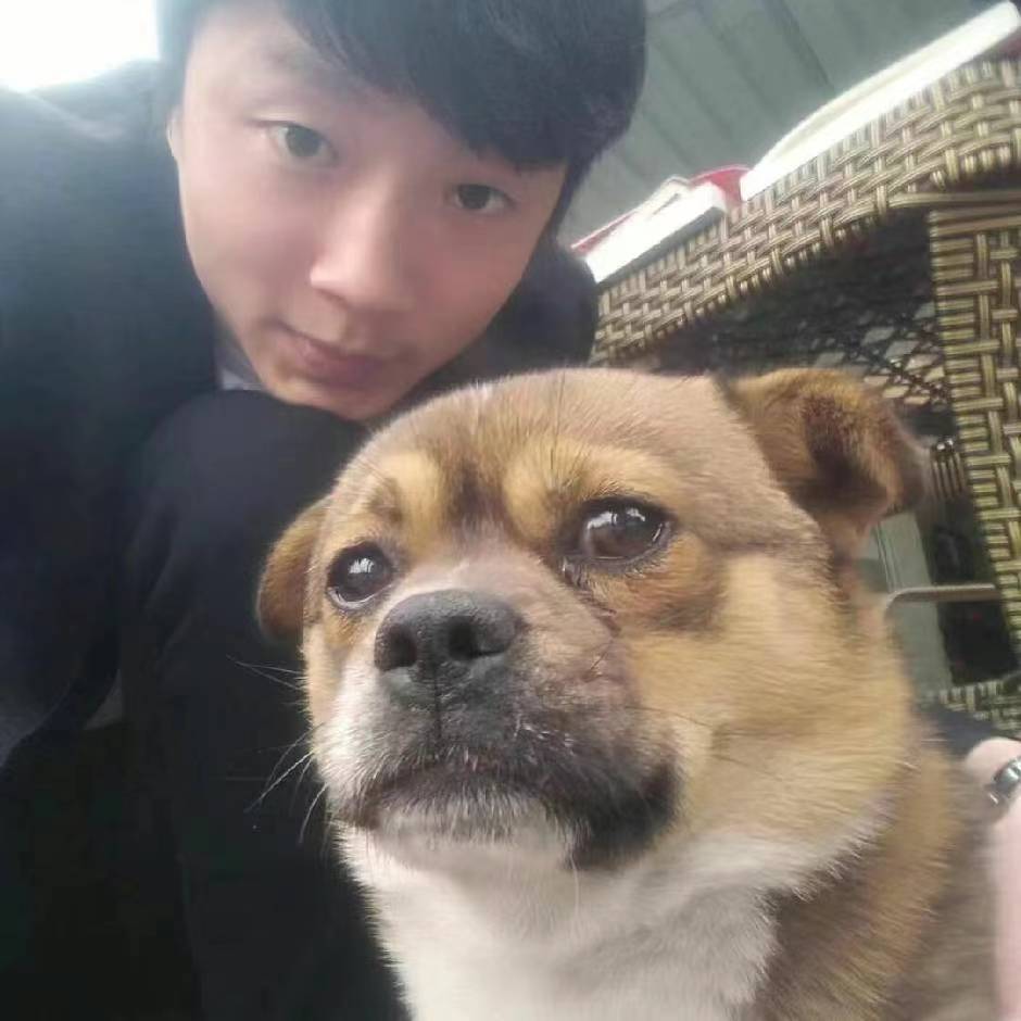 诗人头像