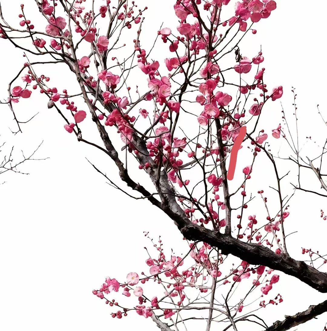 诗人头像