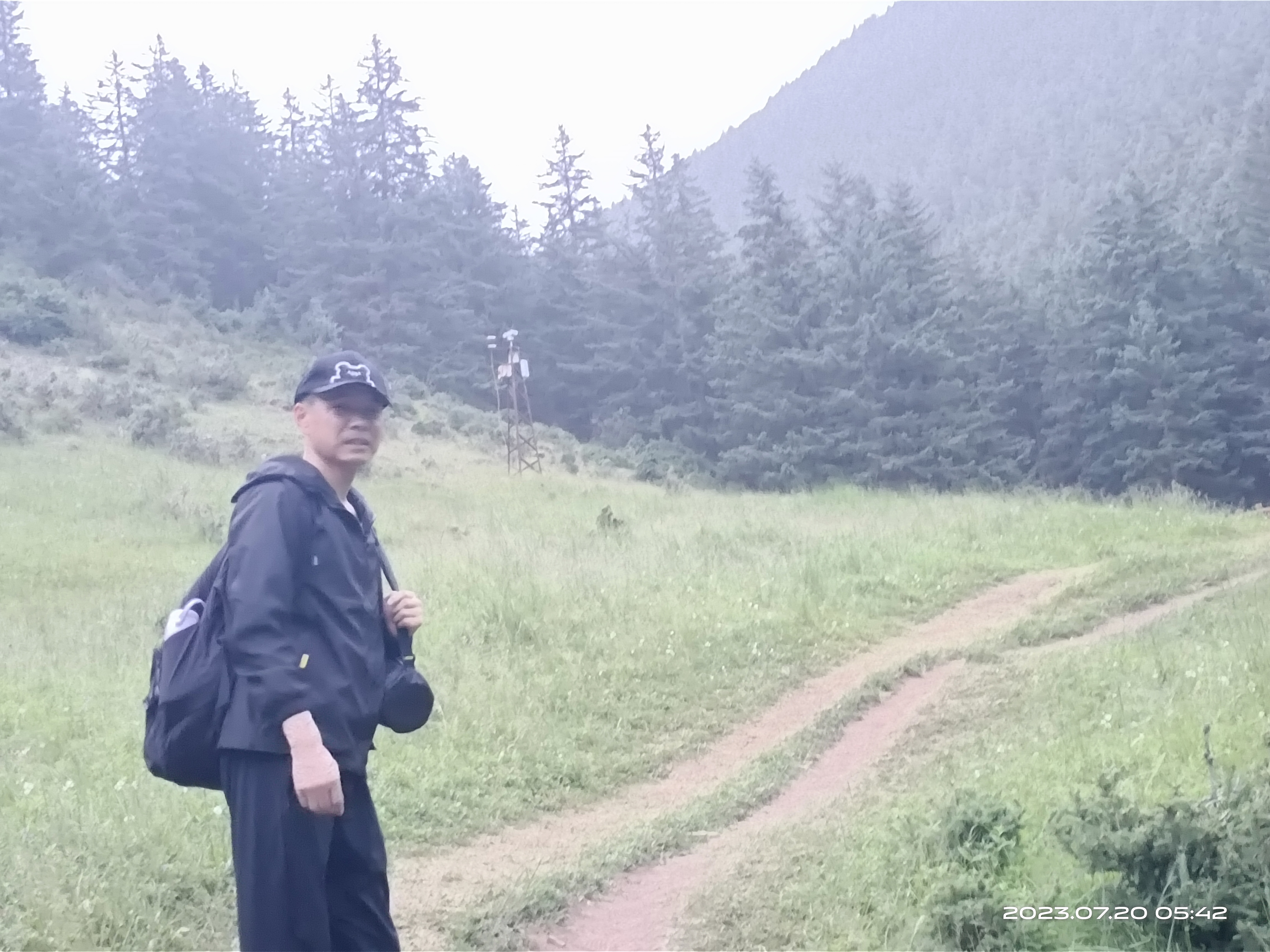 诗人头像