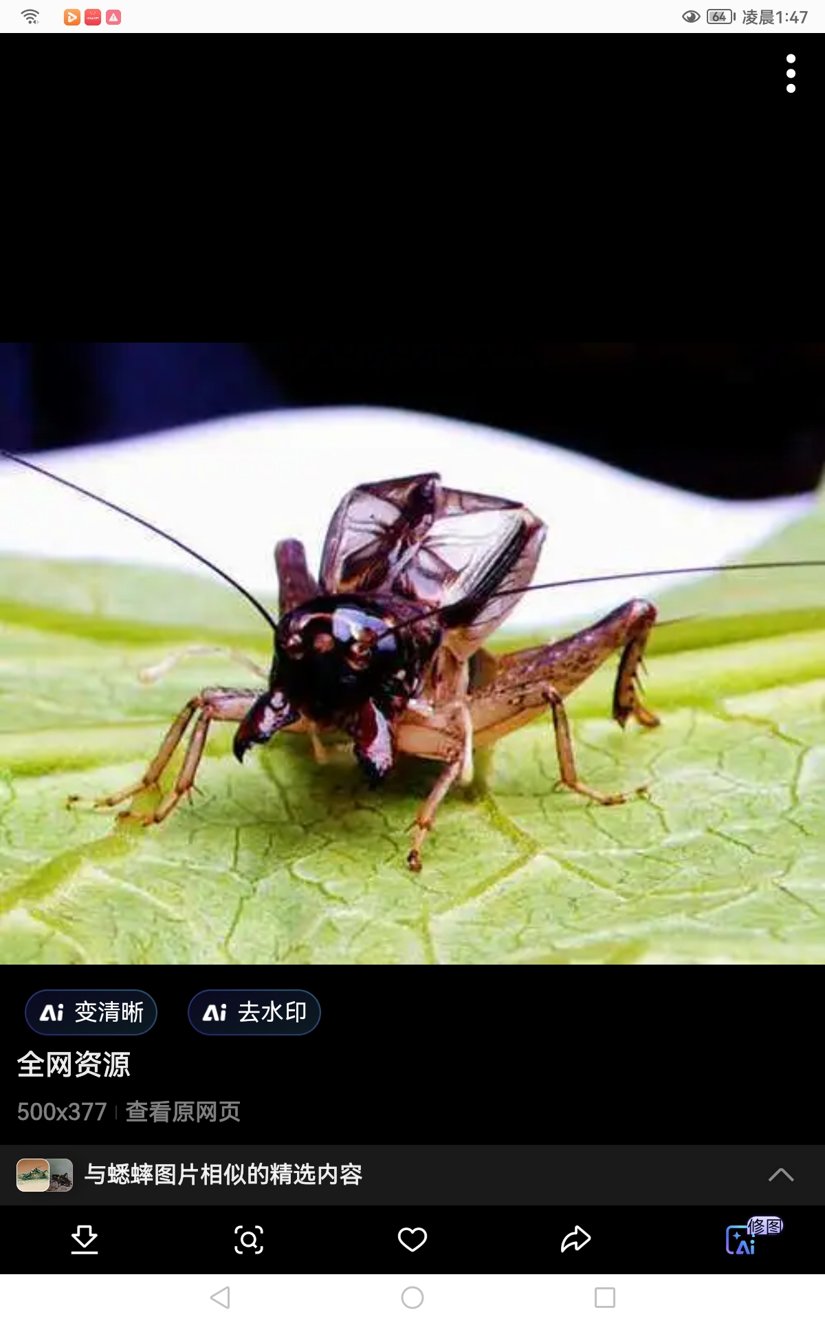 诗人头像