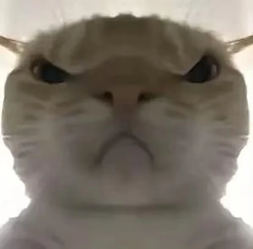 诗人头像