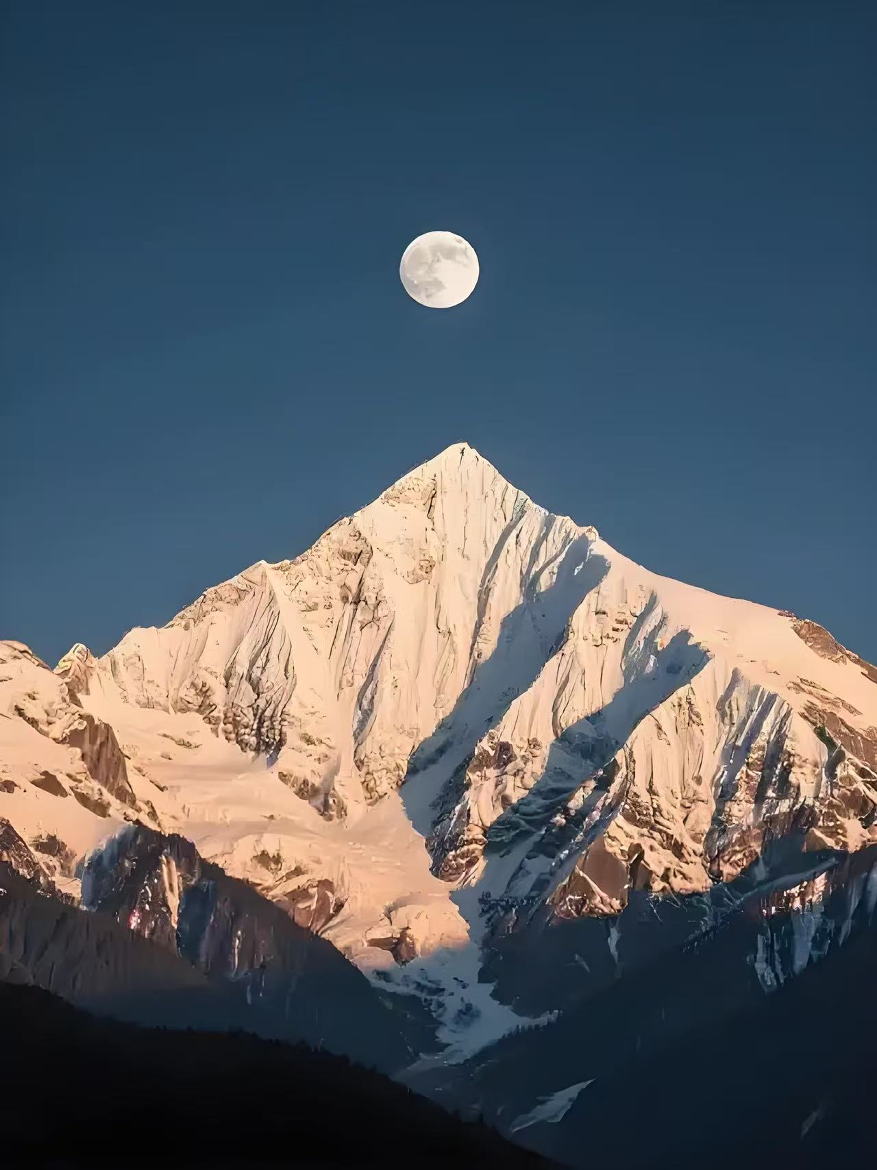诗人头像