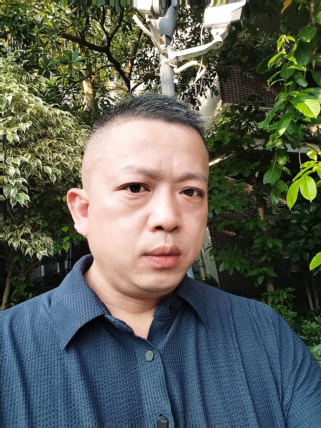 诗人头像