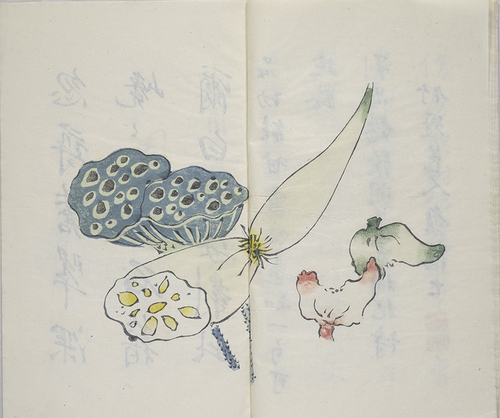 忽寻苍翠深