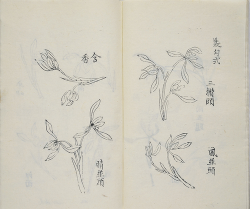 图片6