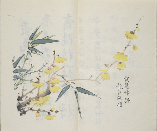 图片14