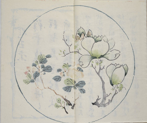 玉棠