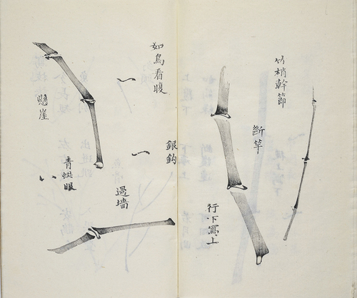 图片11
