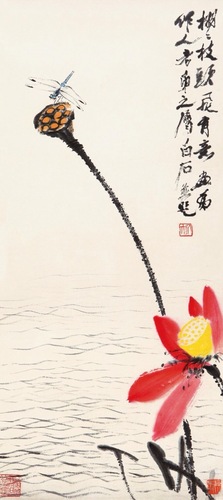 荷蓬蜻蜓
