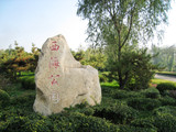 诗人