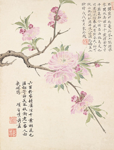 千叶桃