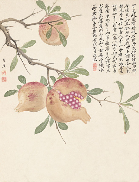 石榴