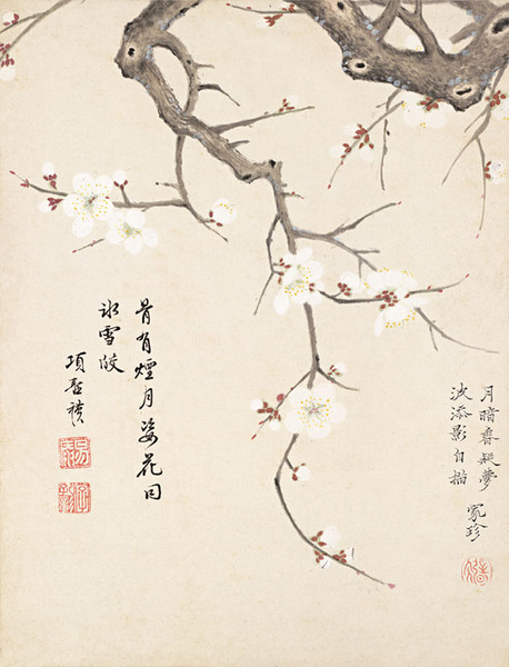 腊梅