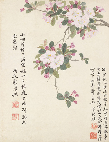 海棠