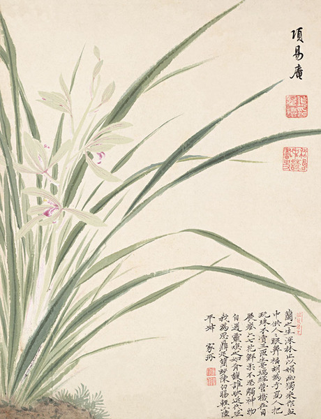兰花