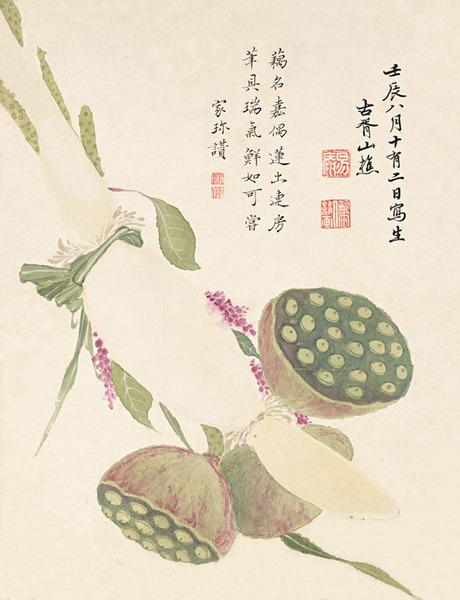 莲藕