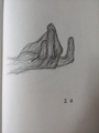 诗人