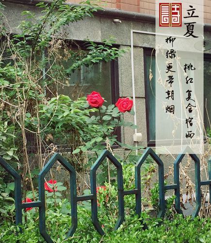 QQ图片20160505153549