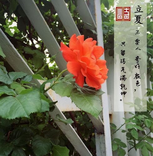 QQ图片20160505160018