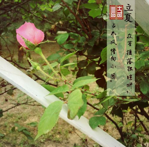QQ图片20160505161355