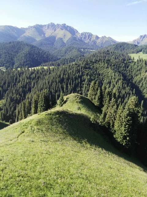 何建明