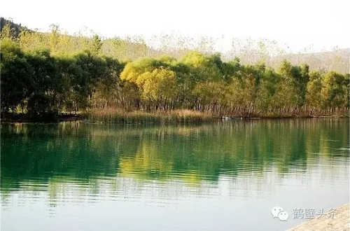 640.webp (2)