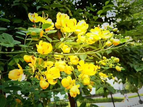 02.webp