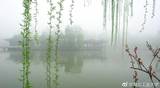 诗人