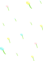 4843902874213751715