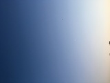 诗人