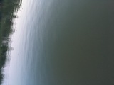 诗人