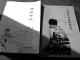 诗人