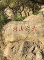 诗人