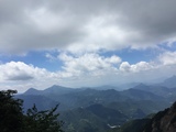 诗人