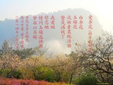 诗人