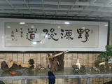 诗人
