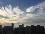 诗人