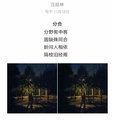 诗人