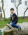 诗人