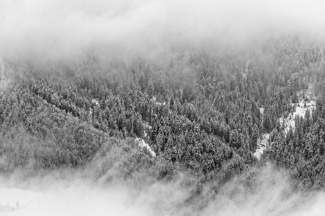 photo-1459197648846-52de5e4d1e9a