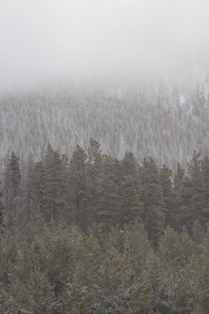 photo-1486665205154-1c03f6915353
