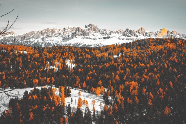 photo-1513099772803-2a23cce499ce