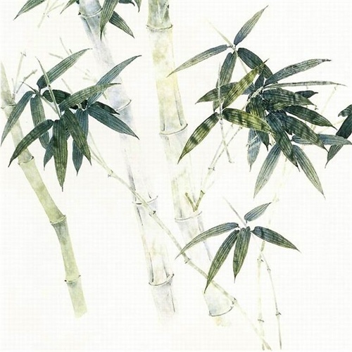 xzz11
