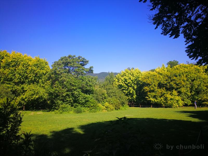 a1527564956828