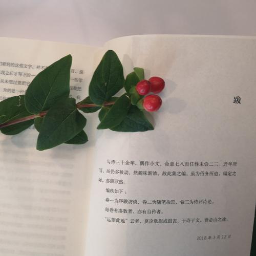 微信图片_20180930104046_副本