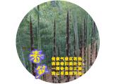 诗人