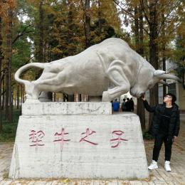 求凰之路