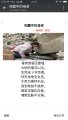 诗人