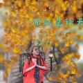 诗人