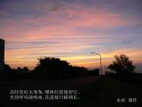 诗人